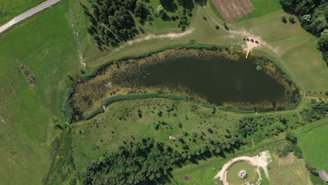 AERIAL:-Ascending-Drone-Shot-of-Uncommon-Pond-That-Looks-Like-Fish-Surounded-with-Green-Grass
