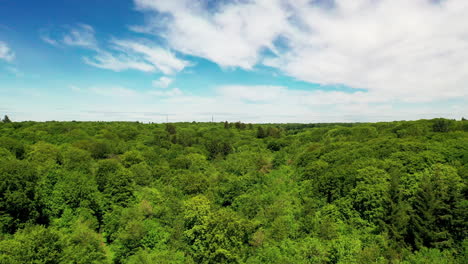 Aerial-shot-above-a-green-forest,-on-a-bright-summers-day