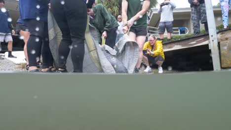 manatee-rescue-team-releases-animal-back-into-the-wild-after-recovery-from-injuries