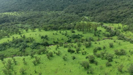 Drone-flying-over-the-open-grasslands-and-jungle-patches-at-foothills-of-the-western-ghats-during-monsoon