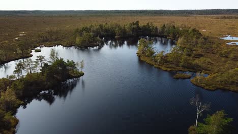 Aerial-birdseye-view-of-Dunika-peat-bog-with-small-ponds-in-sunny-autumn-day,-wide-high-altitude-drone-shot-moving-backwards