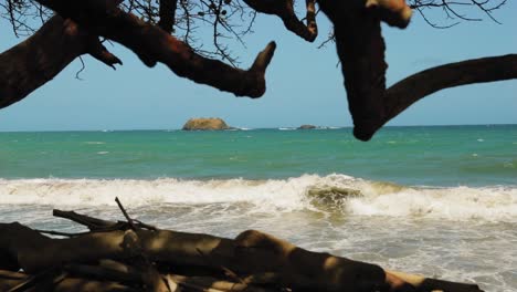 Schöner-Blauer-Ozeanstrand-Mit-Roten-Bäumen-In-Tobago,-Westindien