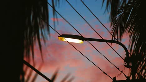 Silhouette-Von-Palmen-Mit-Straßenlaterne-Unter-Dem-Sonnenunterganghimmel-In-Curacao---Mittenschuss