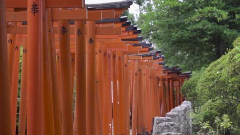 Mehrere-Enge-Rote-Japanische-Torii-Tore,-Unter-Denen-Menschen-Laufen