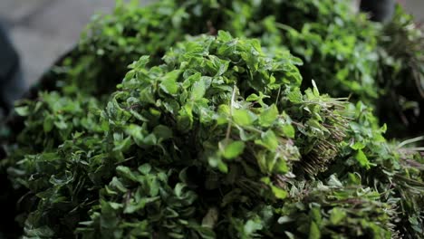 resh-mint-leaves-to-sell-in-market