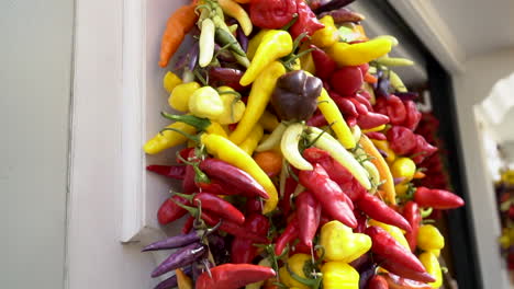Red-yellow-purple-and-orange-peppers-on-the