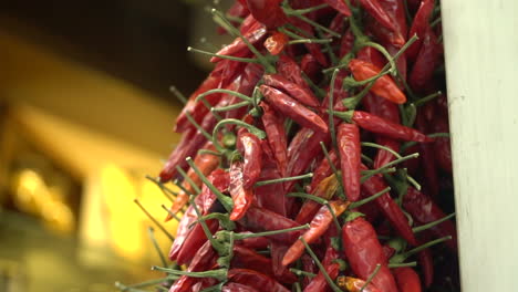 Red-peppers-on-the-market-Selling-home-grown