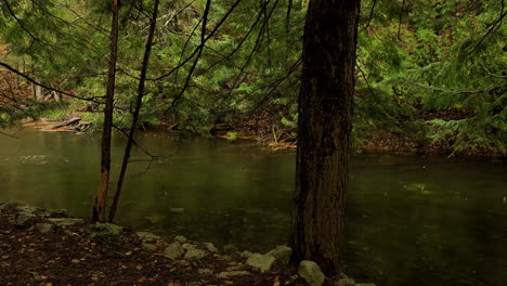Ein-Malerischer-Langsam-Fließender-Fluss-Durch-Einen-Grünen-Wald