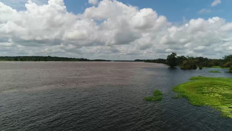 Brasiliens-Amazonas-Ist-Von-üppigen-Gewässern-Gesäumt