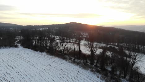 Aerial-View-of-Winter-Forest-Sunset