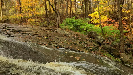 Cinematic-forest-mountain-river-stream-in-autumn-season