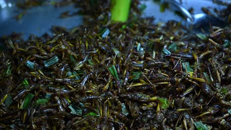 Fried-Grasshoppers,-Takaten-Tod,-Street-Food-in-Thailand