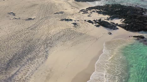 Tropische-Golfküste-Oman-Türkisfarbenes-Strandwasser-Antenne