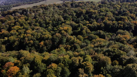 Luftaufnahmen-über-Einem-Bergwald-In-Rumänien-4k