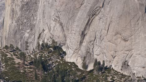Cámara-Inclinándose-Hacia-Arriba-Para-Enmarcar-En-Media-Cúpula-En-El-Parque-Nacional-De-Yosemite