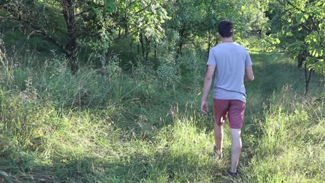 A-man-walks-on-a-footpath-in-forest,-daytime,-summer-season