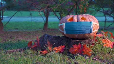 Halloween-pumpkin-with-a-face-mask-on-a-tree-stump-in-the-late-afternoon