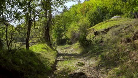 Camino-Rodeado-De-Exuberante-Vegetación-Verde-En-Una-Montaña-Remota-En-Albania
