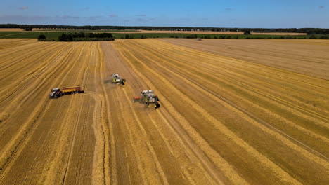 Aerial-Drone-Pan-Right-of-Operating-Combine-Harvesters-and-Tractors-Reaping,-Threshing,-and-Winnowing-Corn-in-a-Golden-Sunlit-Field