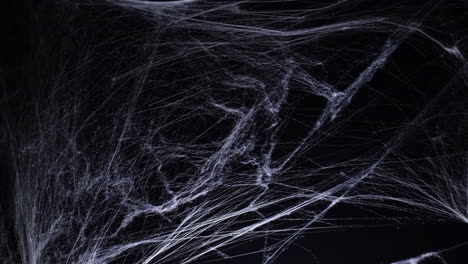 Halloween-spooky-spider-web-in-the-dark