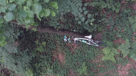 Vertikales-Video-Eines-Verlassenen-Rennrads-Im-Wald