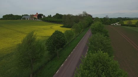 Flying-Above-Moving-Trees-By-Countryside-Road-in-South-Sweden-Skåne,-Österlen-Tosterup,-Aerial-Medium-Foward