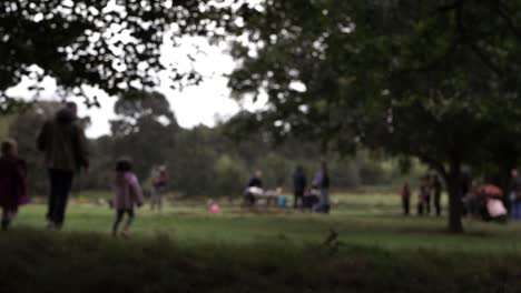 Families-gather-together-in-the-park-defocused-wide-shot