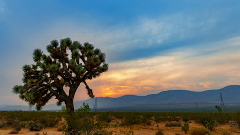 Die-Abendsonne-Geht-Hinter-Der-Bergkette-Mit-Einem-Joshua-Tree-Und-Der-Mojave-wüstenlandschaft-Im-Vordergrund-Unter---Statischer-Zeitraffer-Mit-Rauch-Und-Dunst-Vom-Seefeuer