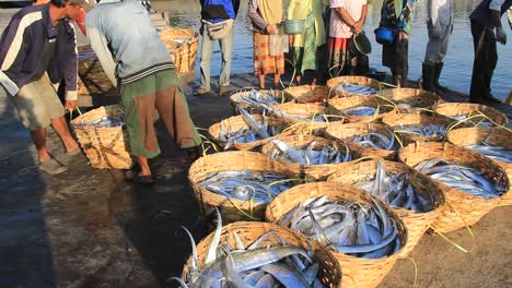 the-fish-market