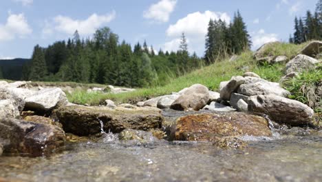 Small-stream-in-Valsan-valley