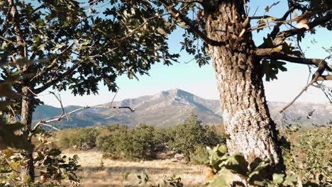 Sierra-Norte-Mountain-Range-with-trees-in-foreground