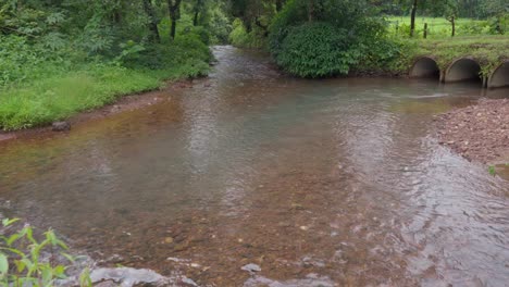 Klarwasserteich-Kleiner-Fluss-Im-Wald