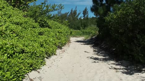 Beach-like-trails-that-connects-to-Bermuda-South-Shore-beaches