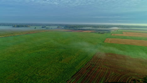 Luftaufnahme-Von-Unberührten-Landwirtschaftlichen-Feldern-Auf-Nebel