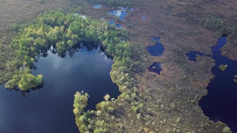 Beautiful-aerial-birdseye-view-of-bog-landscape-with