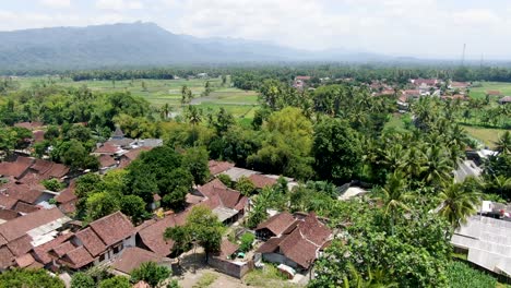 Traditional-Balinese-village-of-Sriwedari-with-tropical-palm
