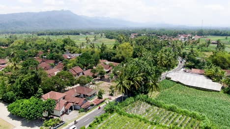 Township-of-Sriwedari-village-in-Bali-with-heavy