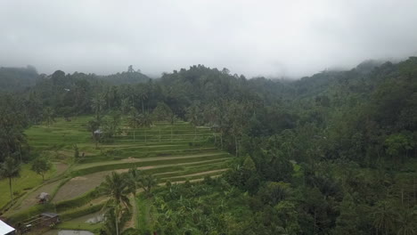 Green-misty-jungle-mountain-hillsides-terraced-for-rice