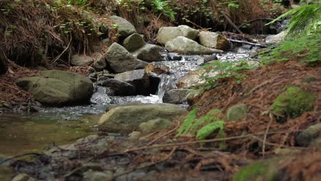 Mini-Wasserfall-über-Steinen-In-Big-Sur-Redwoods