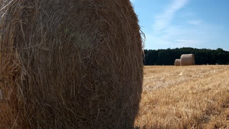 pan-shot-of-hay-bails-fresh-from-harvest