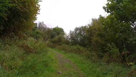 Timelapse-Hyperlapse-on-Forest-Wood-Walk-Path-UK