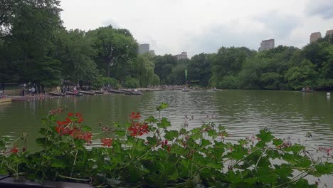 Central-Park-Lake-from-Boat-House-Restaurant