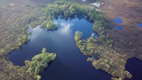 Beautiful-aerial-birdseye-view-of-bog-landscape-with