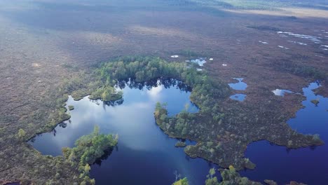 Beautiful-aerial-view-of-bog-landscape-with-lakes