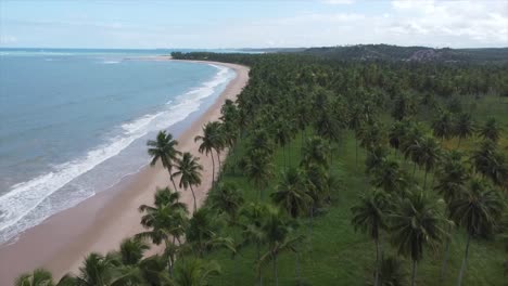 Brasilien-Strand-Palme-Von-Drone-K-Legendär