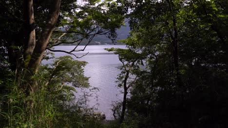 Ruhiger-Und-Entspannender-Blick-Auf-Den-See-Mit-Wellen-Durch-Den-Silhouettenbaumrahmen