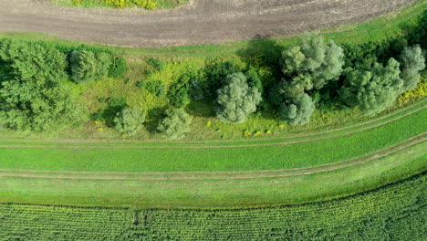 Aerial-fly-over-of-dirt-road,-trees-and-farm-land