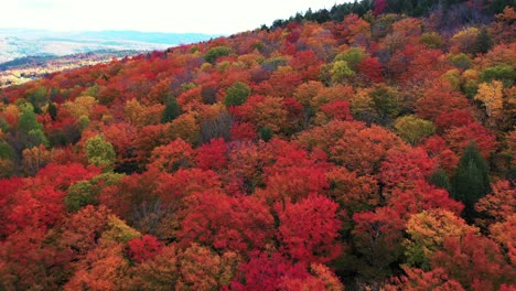 Drohne-Luftbild-Von-Erstaunlich-Bunten-Dichten-Wald-In-Herbstfarben-In-Der-Amerikanischen-Landschaft,-Neuengland-Usa