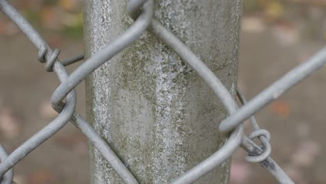 Close-up---Chain-link-fence-with-steel-pole