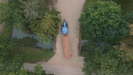 Traktor,-Der-Potoe-Ernte-Aus-Der-Vogelperspektive-Transportiert